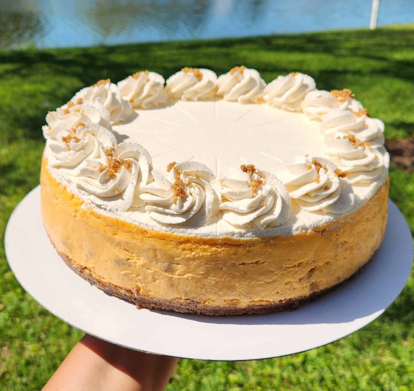 Bun & Cheese Cheesecake